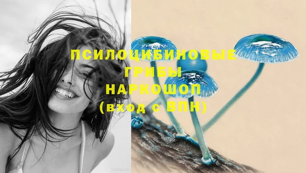 jwh Вяземский