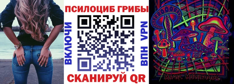 Галлюциногенные грибы мицелий  Купить  Няндома 